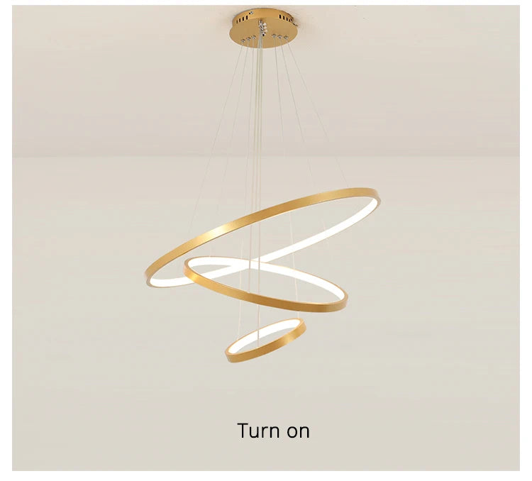 Modern Led Ceiling Chandelier