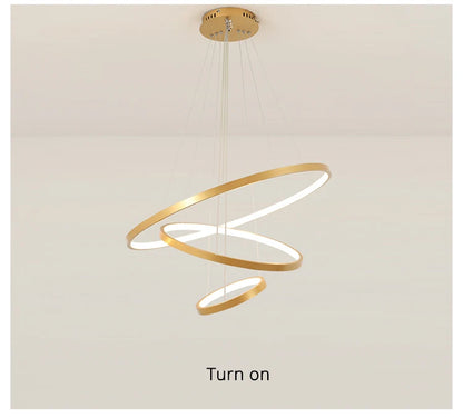 Modern Led Ceiling Chandelier