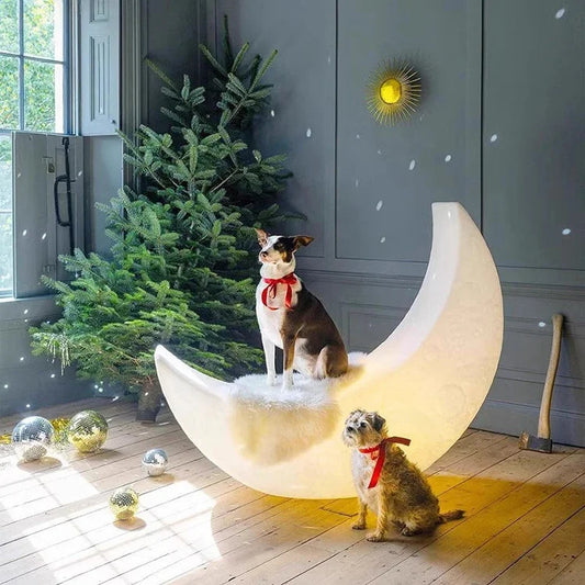 Moon Lamp Floor Lamp